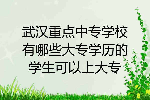 武汉重点中专学校有哪些大专学历的学生可以上大专