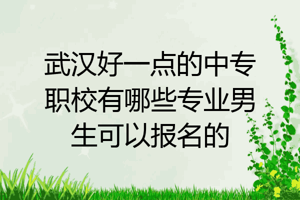 武汉好一点的中专职校有哪些专业男生可以报名的