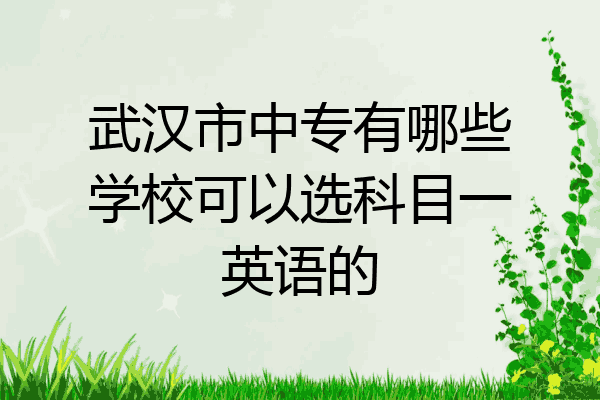 武汉市中专有哪些学校可以选科目一英语的