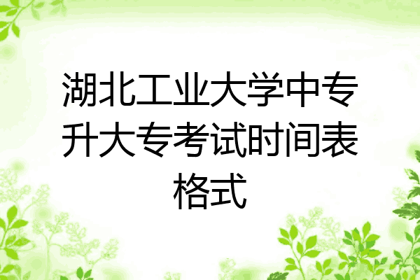 湖北工业大学中专升大专考试时间表格式