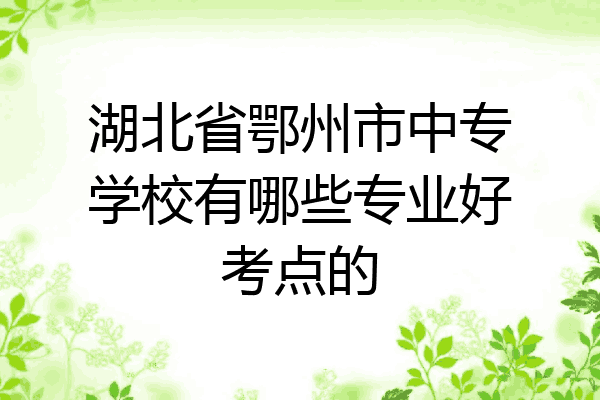 湖北省鄂州市中专学校有哪些专业好考点的