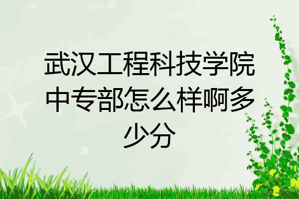 武汉工程科技学院中专部怎么样啊多少分