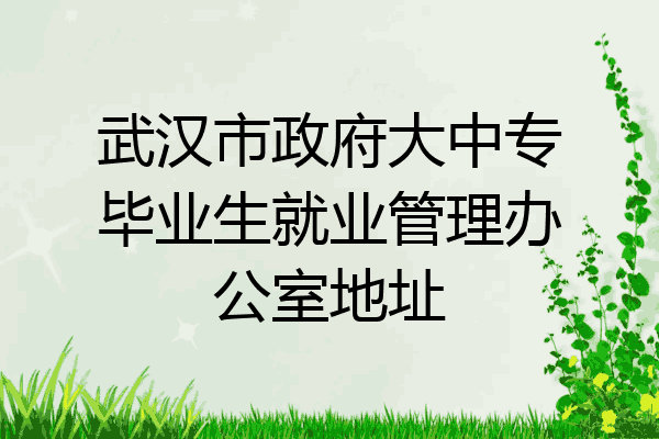 武汉市政府大中专毕业生就业管理办公室地址