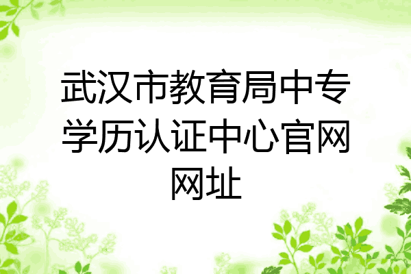 武汉市教育局中专学历认证中心官网网址