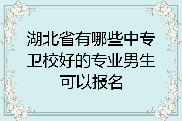 湖北省有哪些中专卫校好的专业男生可以报名