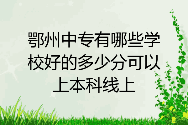 鄂州中专有哪些学校好的多少分可以上本科线上