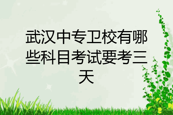 武汉中专卫校有哪些科目考试要考三天