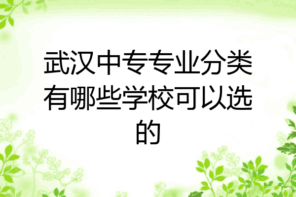 武汉中专专业分类有哪些学校可以选的
