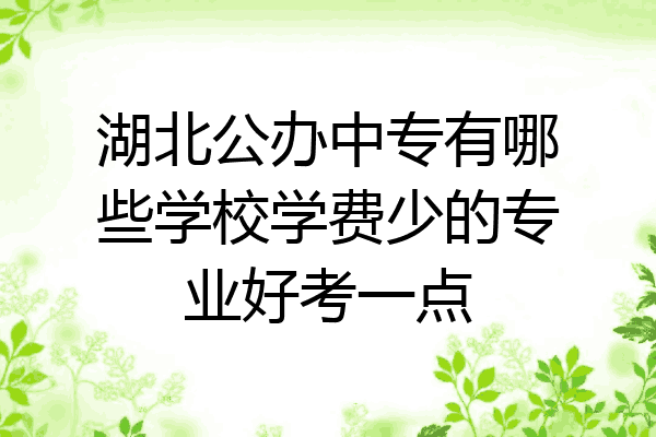 湖北公办中专有哪些学校学费少的专业好考一点