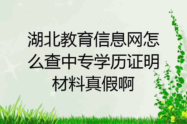 湖北教育信息网怎么查中专学历证明材料真假啊