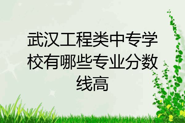 武汉工程类中专学校有哪些专业分数线高