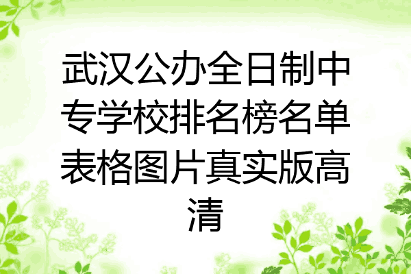 武汉公办全日制中专学校排名榜名单表格图片真实版高清