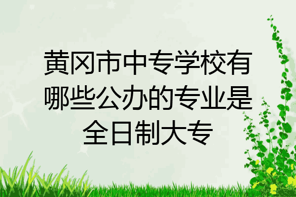 黄冈市中专学校有哪些公办的专业是全日制大专