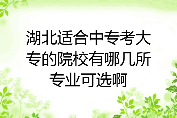 湖北适合中专考大专的院校有哪几所专业可选啊