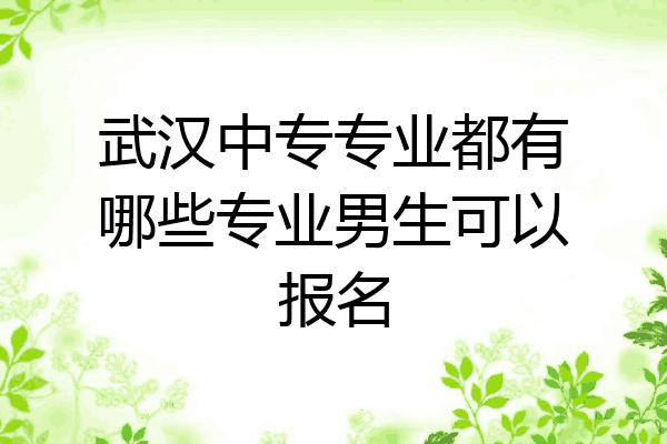 武汉中专专业都有哪些专业男生可以报名