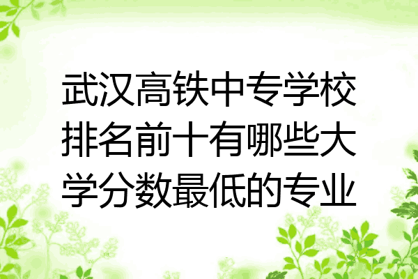 武汉高铁中专学校排名前十有哪些大学分数最低的专业