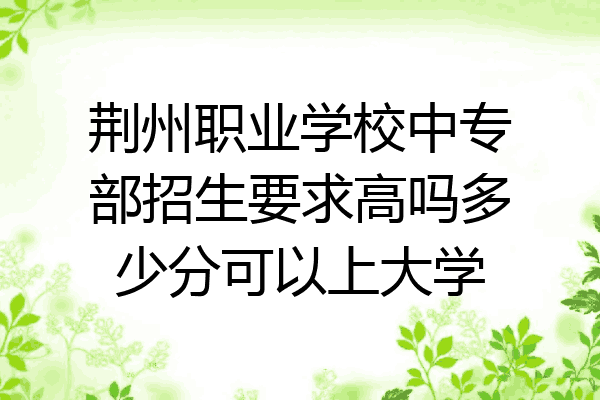 荆州职业学校中专部招生要求高吗多少分可以上大学