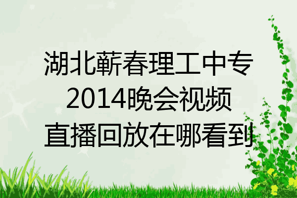 湖北蕲春理工中专2014晚会视频直播回放在哪看到