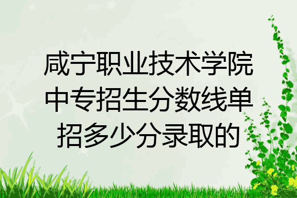 咸宁职业技术学院中专招生分数线单招多少分录取的