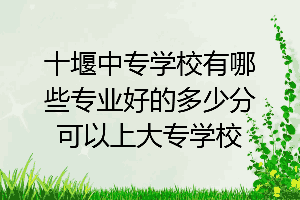 十堰中专学校有哪些专业好的多少分可以上大专学校