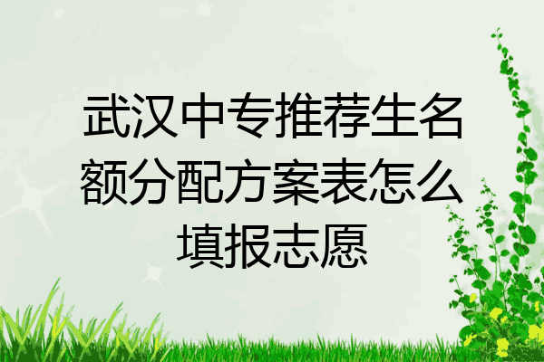武汉中专推荐生名额分配方案表怎么填报志愿