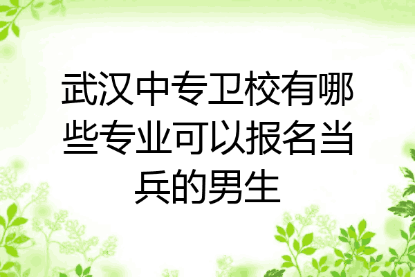 武汉中专卫校有哪些专业可以报名当兵的男生