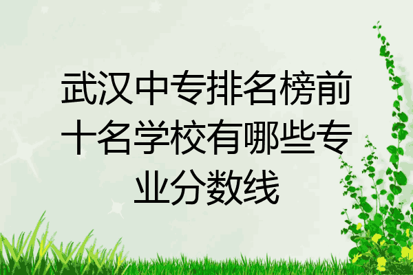 武汉中专排名榜前十名学校有哪些专业分数线