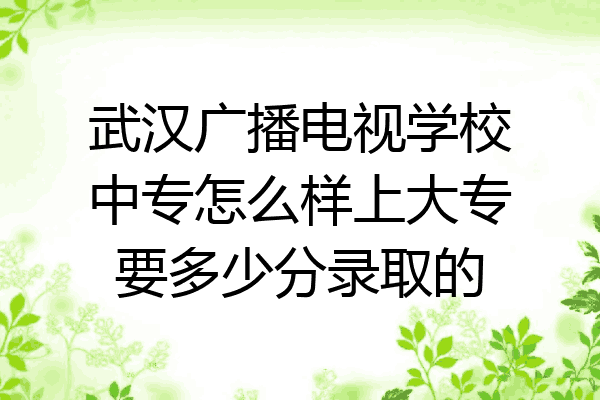 武汉广播电视学校中专怎么样上大专要多少分录取的