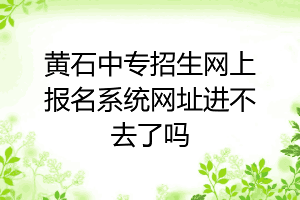 黄石中专招生网上报名系统网址进不去了吗
