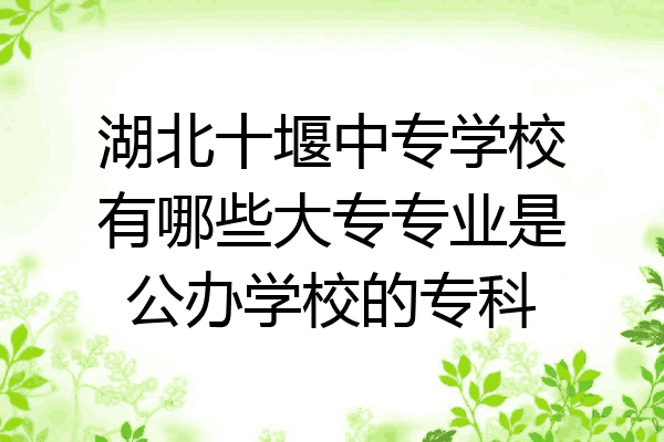 湖北十堰中专学校有哪些大专专业是公办学校的专科