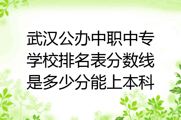武汉公办中职中专学校排名表分数线是多少分能上本科