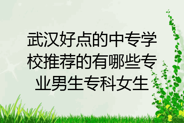 武汉好点的中专学校推荐的有哪些专业男生专科女生