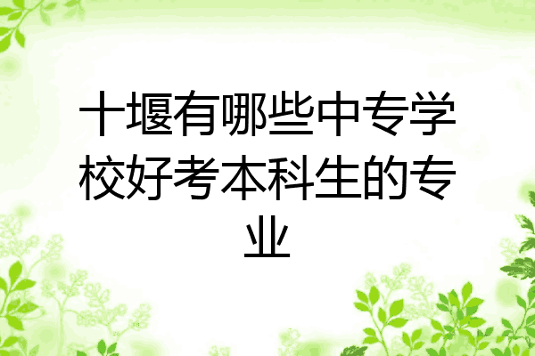 十堰有哪些中专学校好考本科生的专业