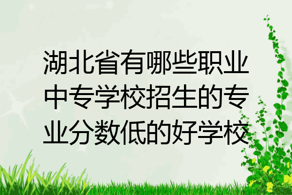湖北省有哪些职业中专学校招生的专业分数低的好学校