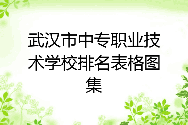 武汉市中专职业技术学校排名表格图集