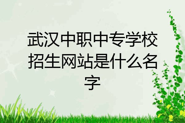 武汉中职中专学校招生网站是什么名字