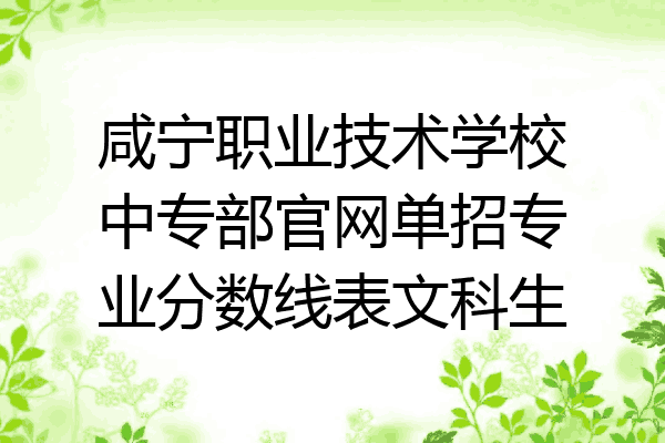 咸宁职业技术学校中专部官网单招专业分数线表文科生