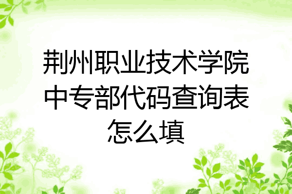 荆州职业技术学院中专部代码查询表怎么填