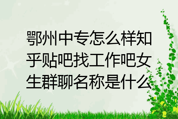 鄂州中专怎么样知乎贴吧找工作吧女生群聊名称是什么
