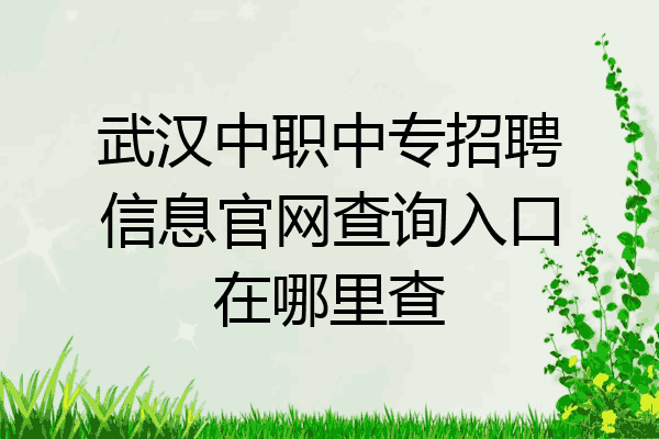 武汉中职中专招聘信息官网查询入口在哪里查