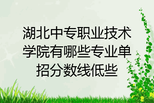 湖北中专职业技术学院有哪些专业单招分数线低些
