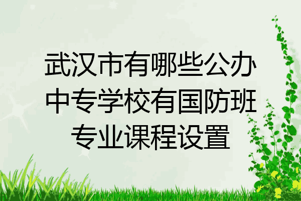 武汉市有哪些公办中专学校有国防班专业课程设置