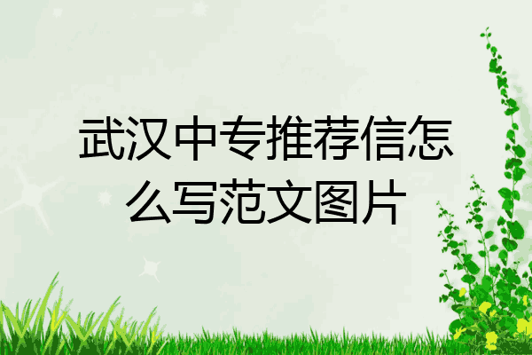 武汉中专推荐信怎么写范文图片