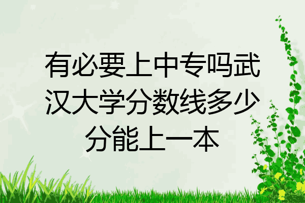 有必要上中专吗武汉大学分数线多少分能上一本