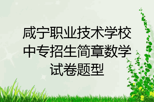 咸宁职业技术学校中专招生简章数学试卷题型