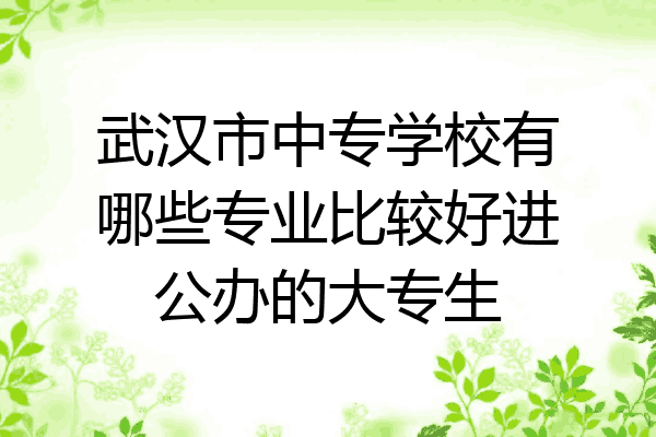 武汉市中专学校有哪些专业比较好进公办的大专生