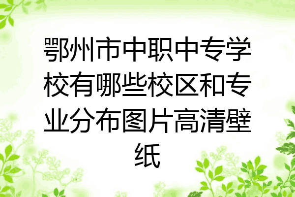 鄂州市中职中专学校有哪些校区和专业分布图片高清壁纸