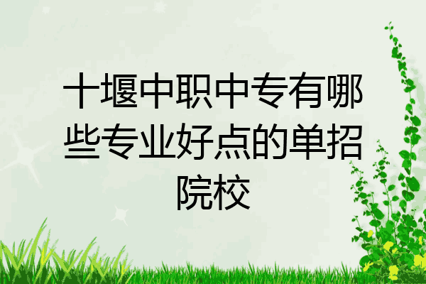 十堰中职中专有哪些专业好点的单招院校