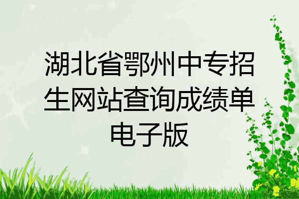湖北省鄂州中专招生网站查询成绩单电子版