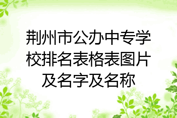 荆州市公办中专学校排名表格表图片及名字及名称